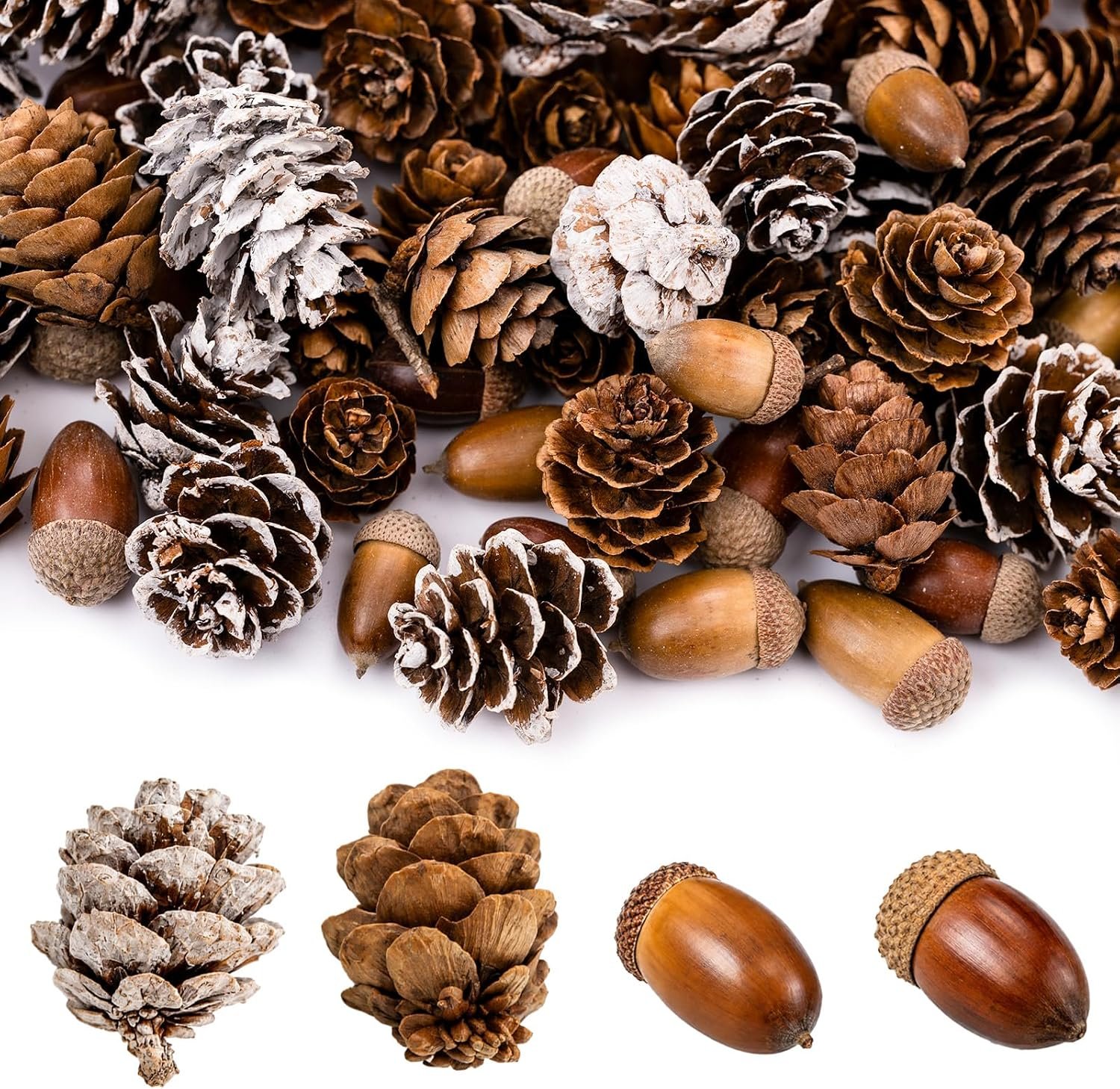 120 Piece Natural Pine Cones and Acorns Craft Set