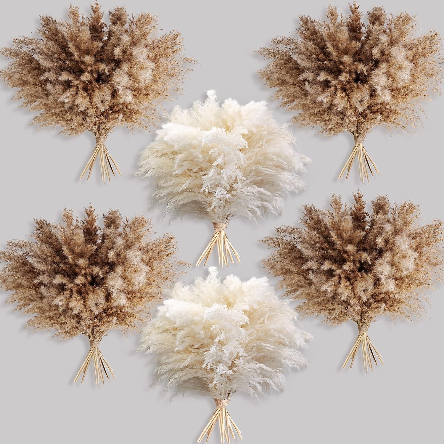 Boho Fluffy Dried Pampas Grass Bundles, 60 Pcs, Natural