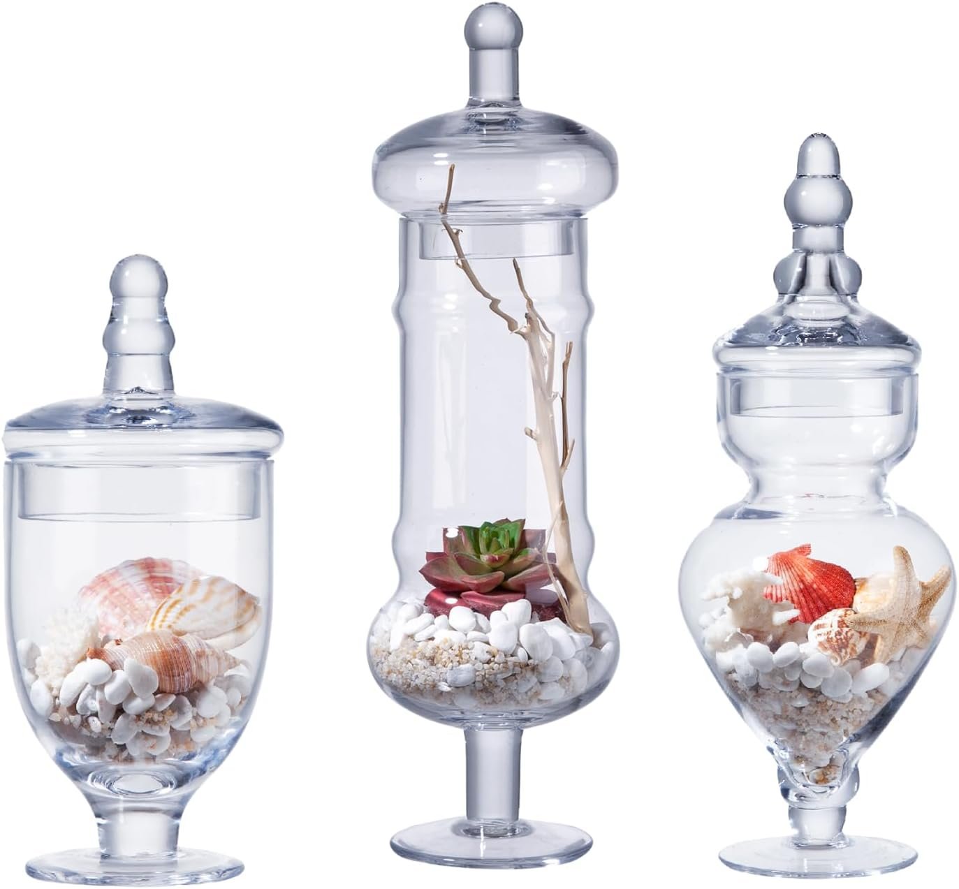 Stella Baico 3-Pack Glass Apothecary Jars with Lids