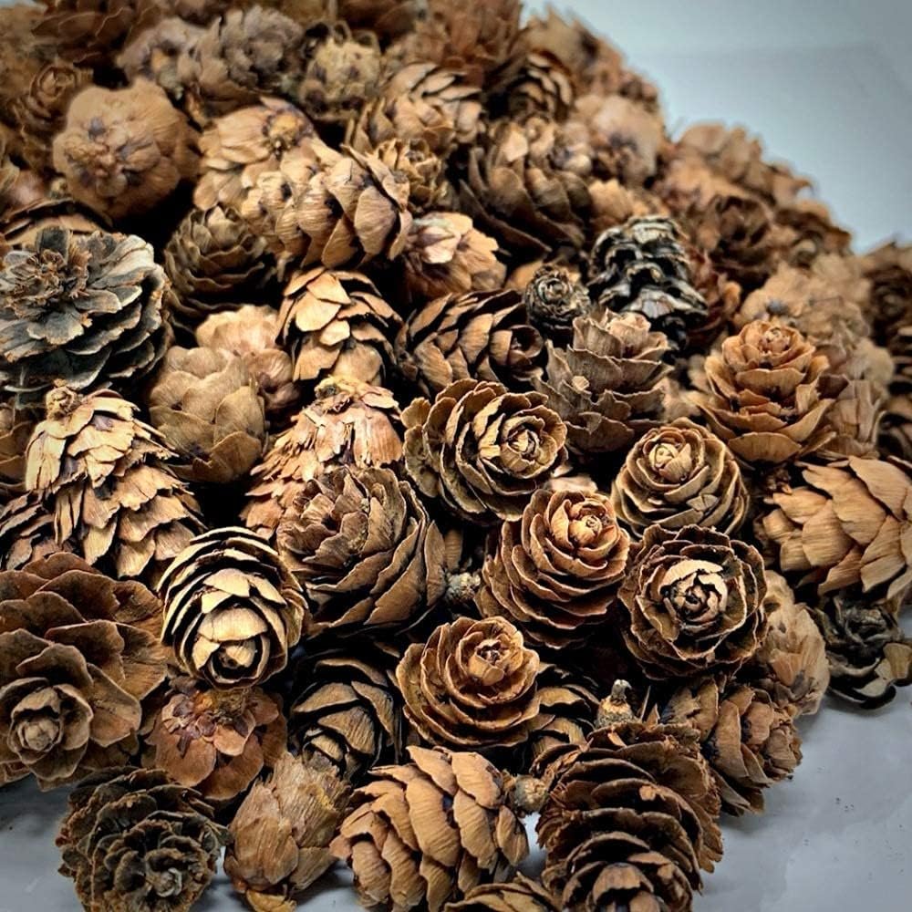Natural Pinecones, 2 lb Bag