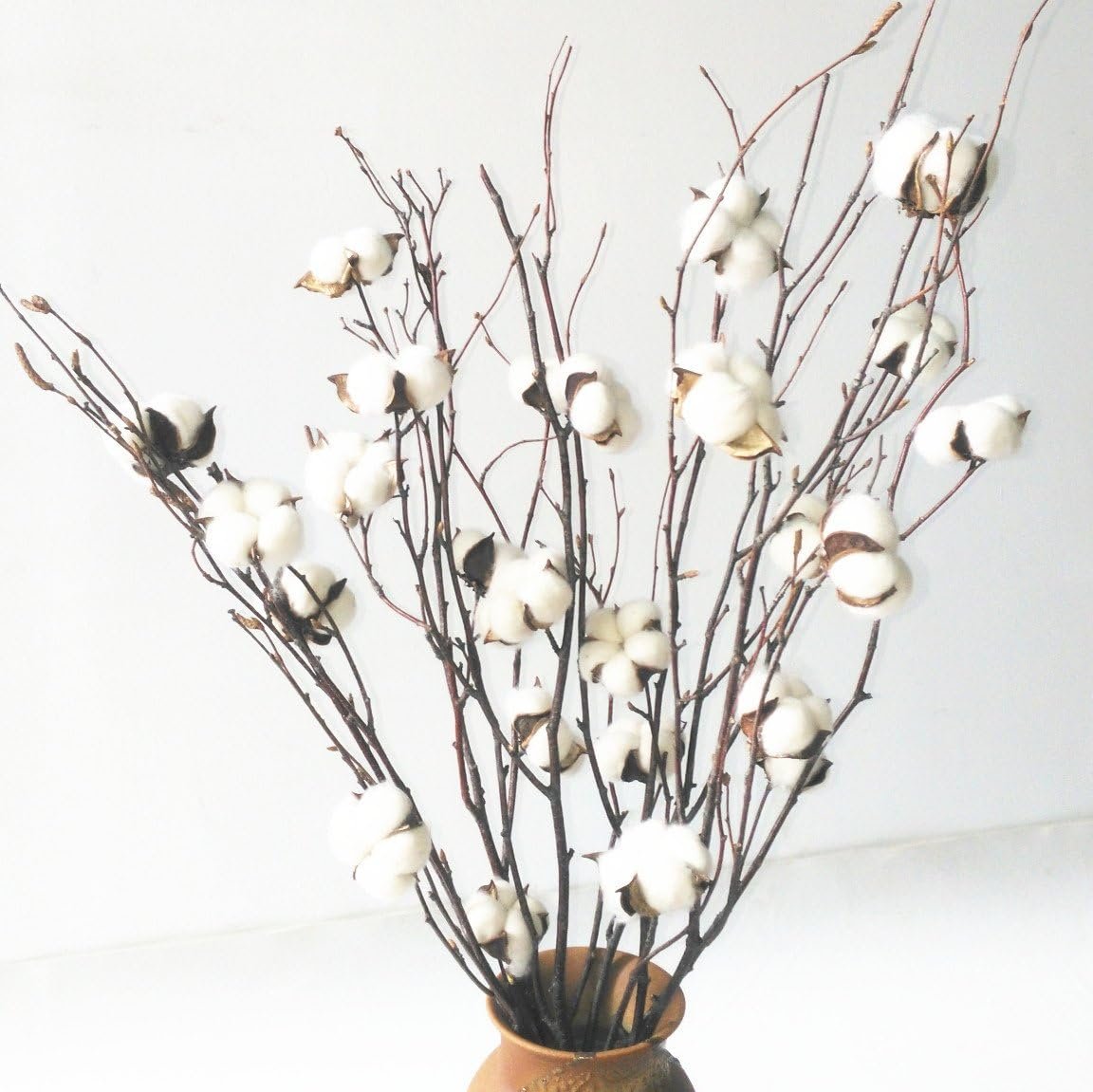 5 Bunches Cotton Stems, Natural Cotton Flowers with Birch Branch