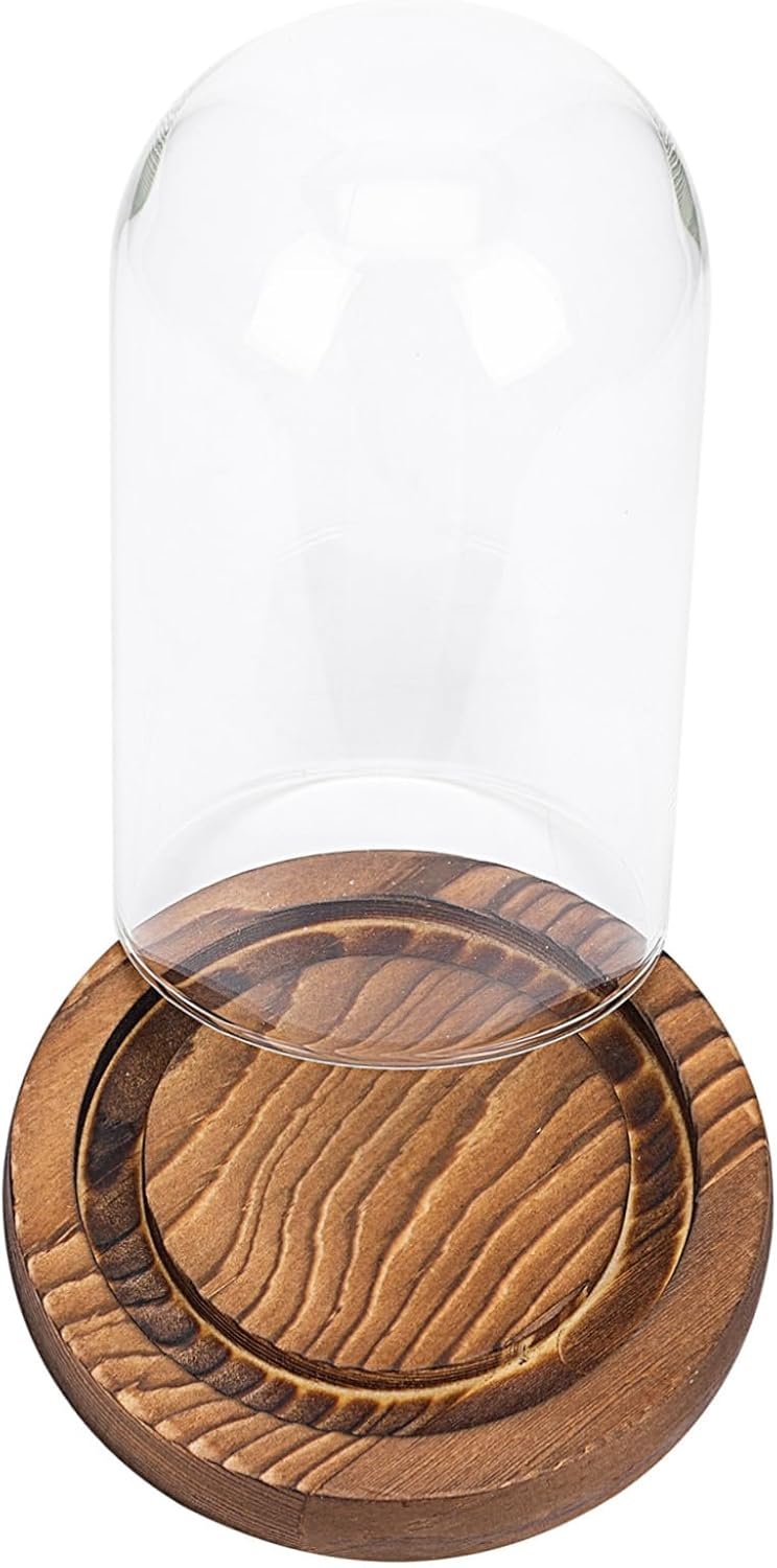 Holibanna Decorative Glass Cloche Candle Holder, Glass and Wood