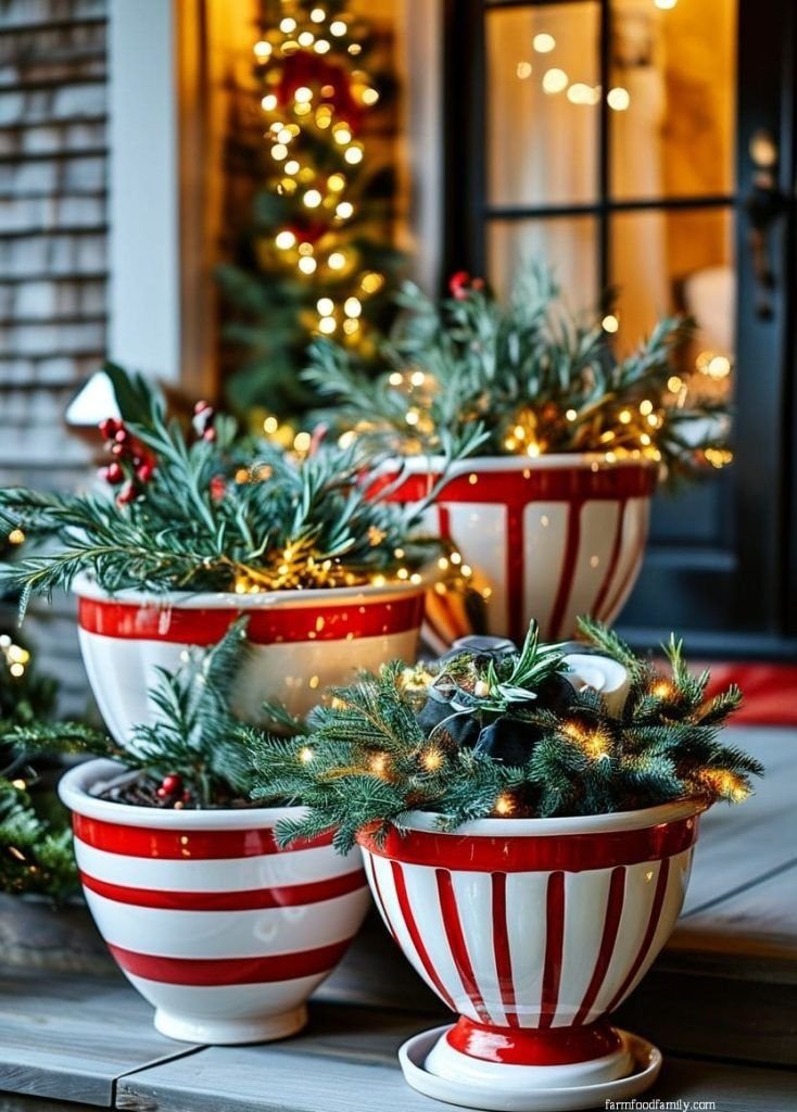 Red and white striped ceramic planters with greenery and fairy lights